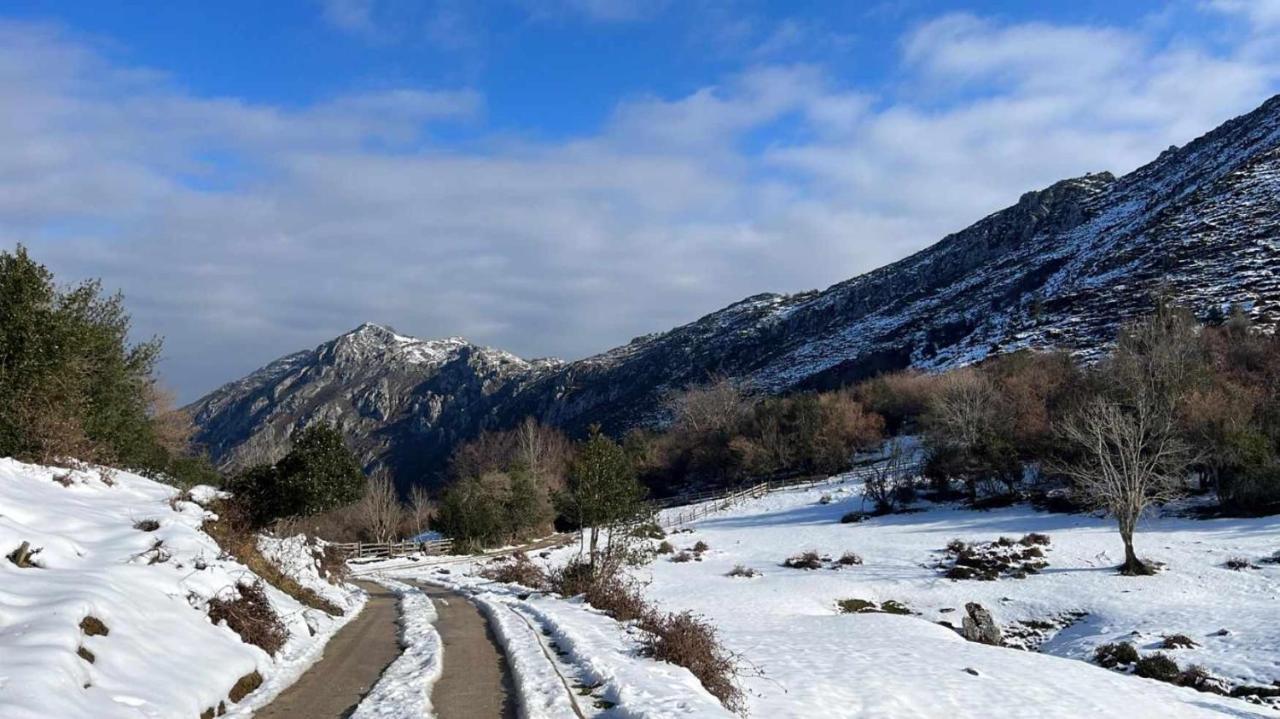 Casa Rural Kiko Asturias Bimenes المظهر الخارجي الصورة
